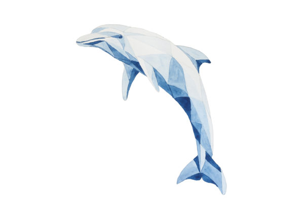 Delfín dibujado en acuarela con triangulaciones , en tono azul, sobre fondo blanco. Colección Ultra-Marinos de Macaroom Kids